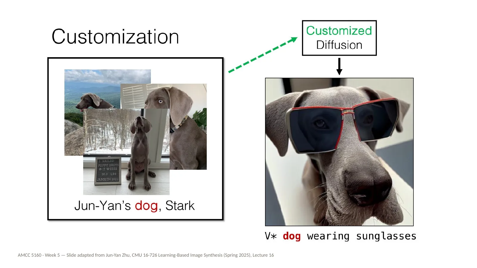 Slide 12: Customization: V* dog