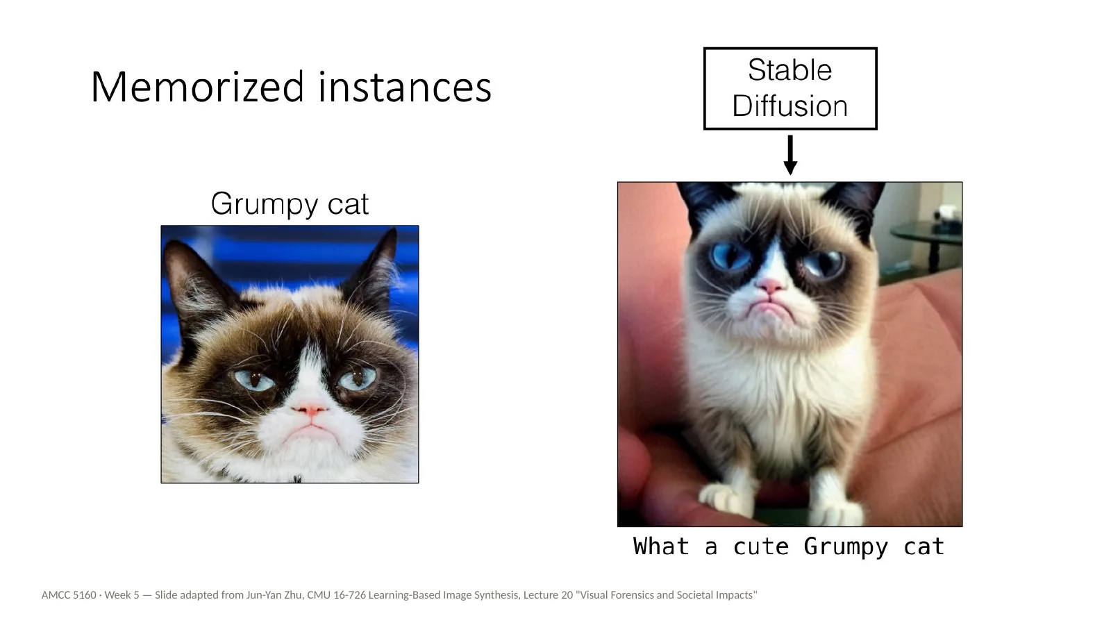 Slide 31: Memorized instances