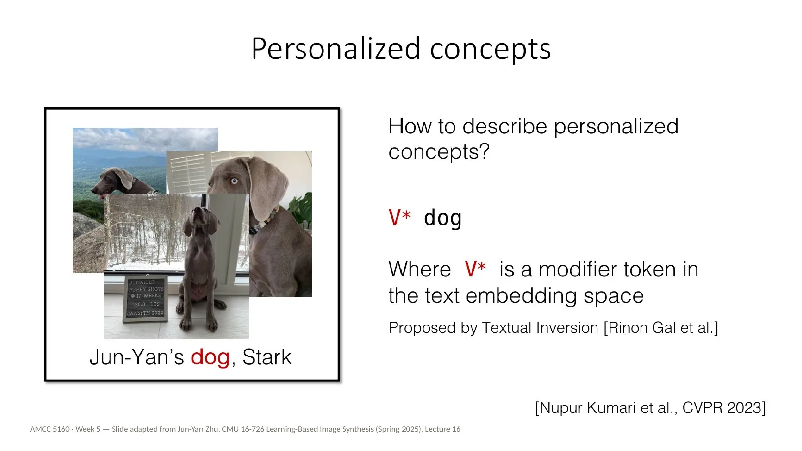 Slide 36: Personalized concepts: the V* token