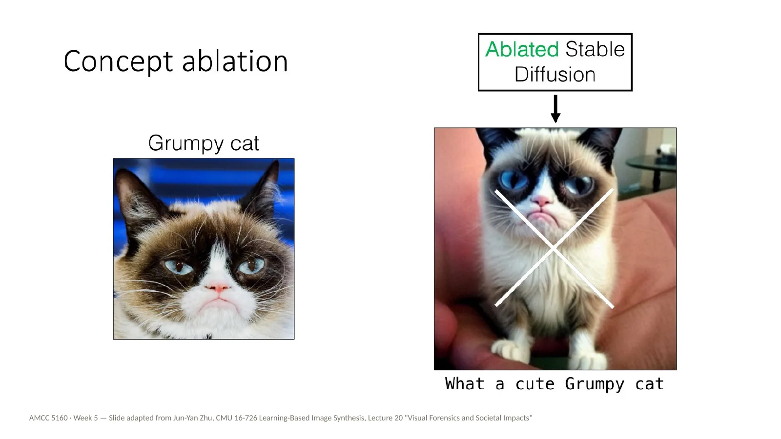 Slide 44: Concept ablation