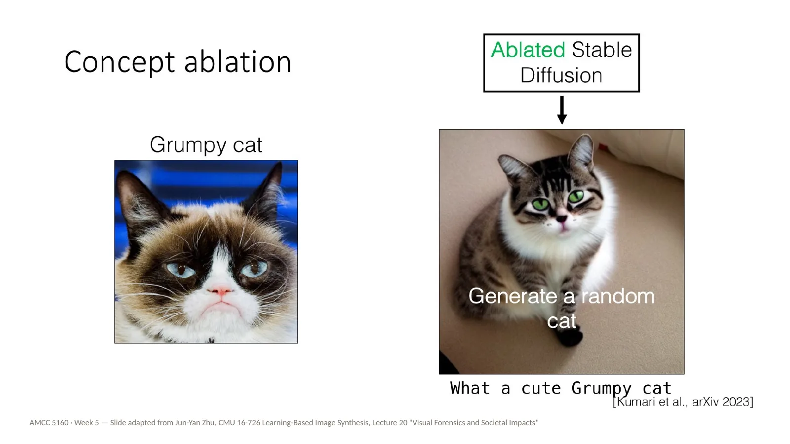 Slide 45: Concept ablation: the goal