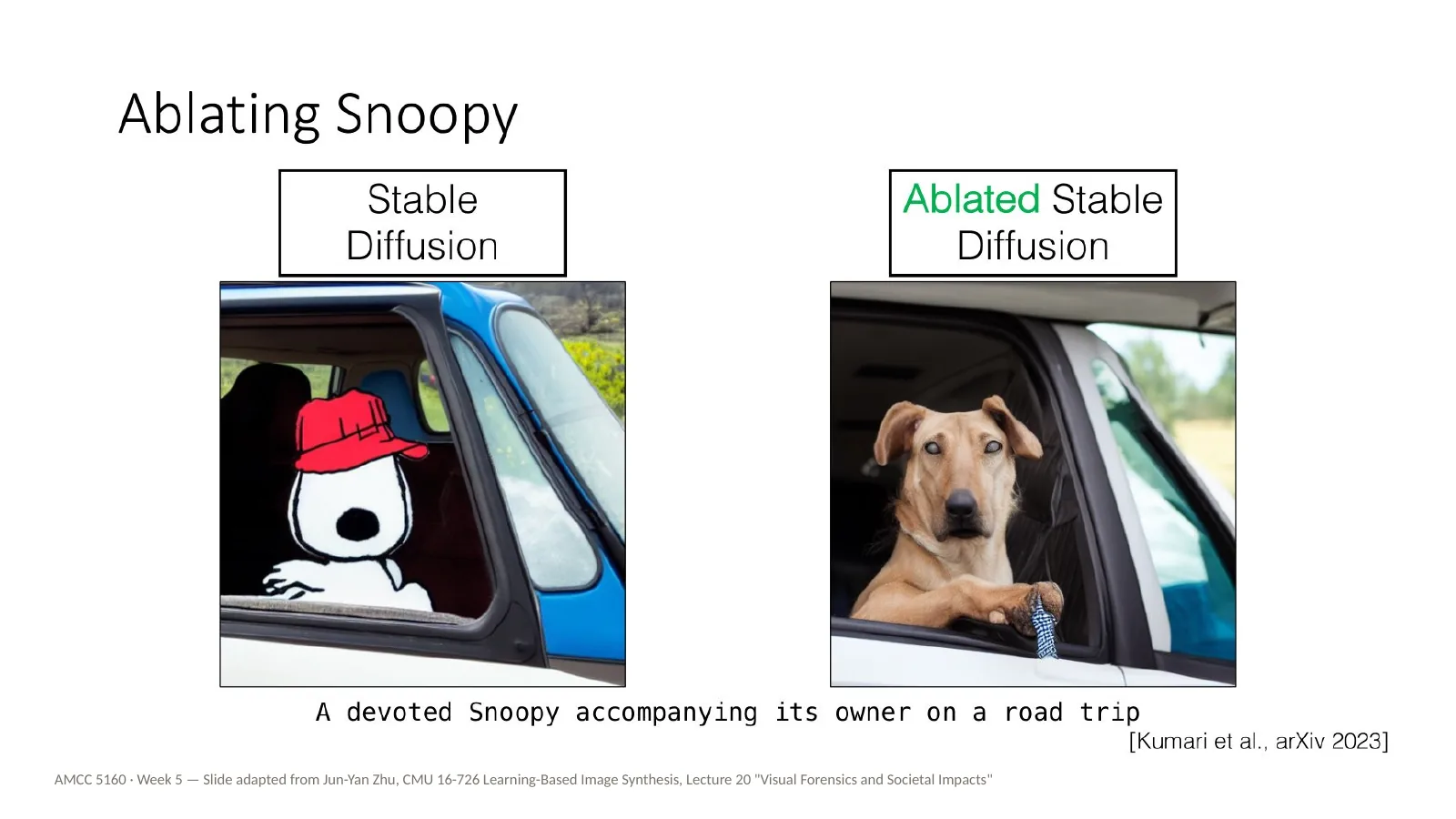 Slide 50: Ablating Snoopy (1)