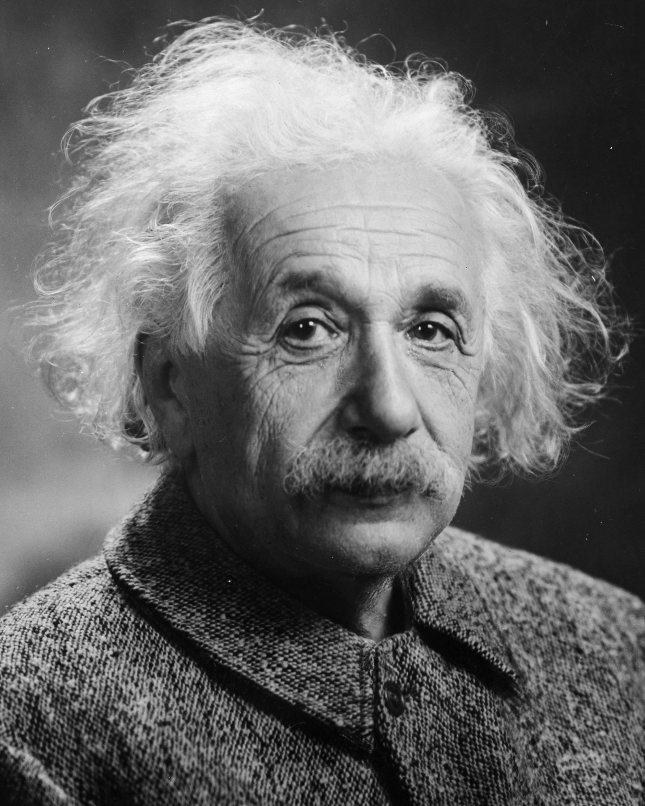 Albert Einstein portrait